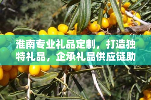 淮南专业礼品定制，打造独特礼品，企承礼品供应链助力商务往来